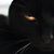 Erica Mcatee's profile image