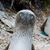 Heide Gagnon Xitco's profile image