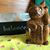 Susanne Woodstock's profile image