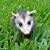 Julie Macomber's profile image
