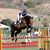 Sue Kellogg Graf's profile image