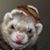 Jason Rummel's profile image