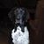 Kathy Johnson's profile image