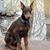 Allen Barnard's profile image