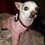 Vanessa Liptack's profile image