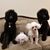 Sheila N Cory Knutson's profile image
