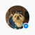 Angie Janotha Plotner's profile image