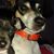 Thomas Sevek's profile image