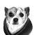 Angie Barnes's profile image