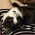 Tasha Love's profile image
