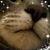 Sylvia Espinoza LaCourse's profile image