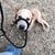 Philip Lee Michalek's profile image