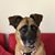Katie Hoban Pottroff's profile image