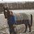 Amy Utt's profile image