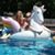 Brittany Catherine Lanham's profile image