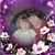 Greg Beilfuss's profile image