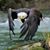 Todd Halamka's profile image