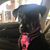 Emily Dolores Mingione's profile image