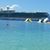Diane Reppert's profile image