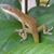 Lee Ezell's profile image