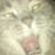 Jack Dunn's profile image