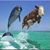 Gary Stoughton's profile image