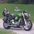 Gene Stout's profile image