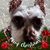 Judy Clark's profile image