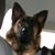 Gregory James's profile image