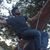 Pedersen Shawn's profile image