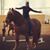 Deanna Mancuso's profile image