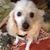 Cynthia Baker's profile image