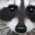 Kristin Muller's profile image