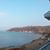 Diana Torrey-utica's profile image