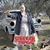 Lynn Rose's profile image