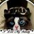 Lorie Khalaf's profile image