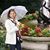 Nelia Rocha's profile image