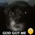 Helen Hodson's profile image