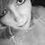 Cindy Badgett's profile image