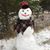Susan Owens's profile image