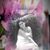 Vanessa Lokinha's profile image