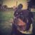 Donnarose Magarro's profile image
