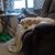 Vicki Steele Waugh's profile image