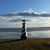Sandy Hermez's profile image