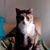 Tracey Jackson's profile image