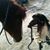 Rikke Borge's profile image