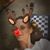 Desirea Lynn's profile image