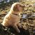 Catherine Kammerer's profile image