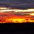 Kathy Osborne Merrett's profile image