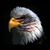 Walter Connors's profile image
